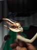 IMG_20180421_172903