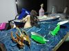 IMG_20180425_160135