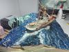 IMG_20180505_191644