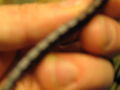 002 042.jpg