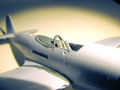 IMG_3454-web