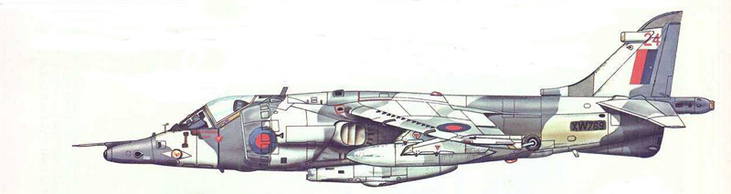 Harrier 001