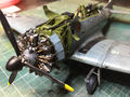 Sbd3 quasi finito  - 12