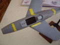 IMGP4588.JPG