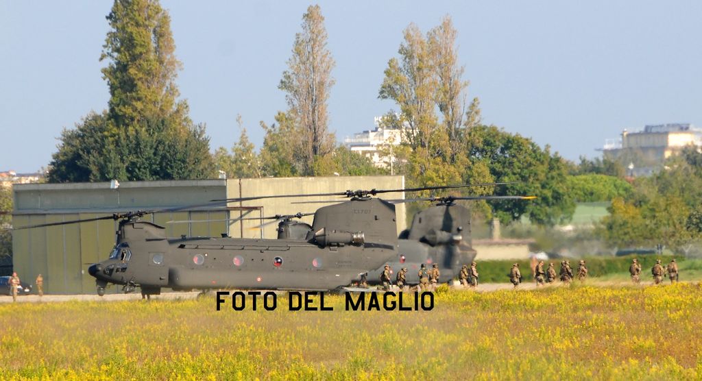 DSC_9546.jpg