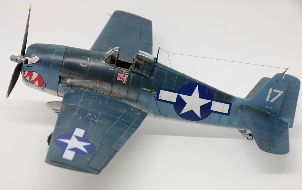 DSC_8.jpg