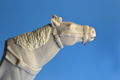 025 cavallo modificato