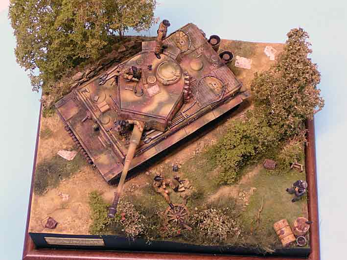 tiger-1e-01