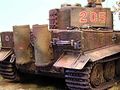 tiger-1e-02