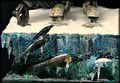 DSC09740a
