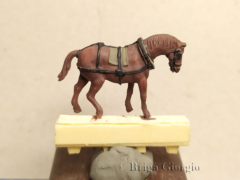Cavallo (1)