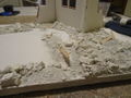 DSC02010.JPG