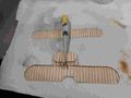 phoenix dII_16_01