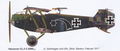 Hannover CL.II C.9280_17 Original Profile W. Werner DAS E1