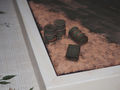 F51-D diorama (6)