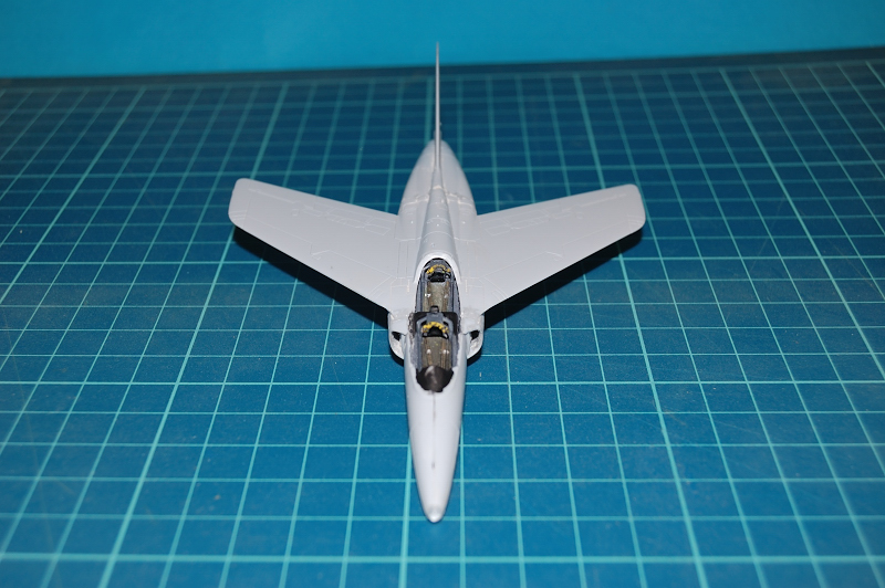 gnat_16