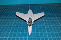 gnat_16
