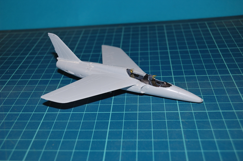 gnat_17