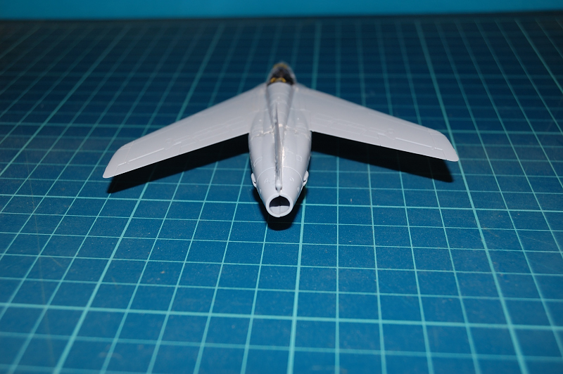 gnat_20