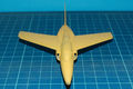 gnat_26