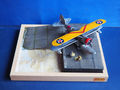 grumman duck (36)