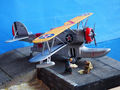 grumman duck (37)