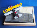 grumman duck (41)