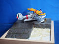 grumman duck (43)