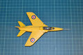 gnat_43