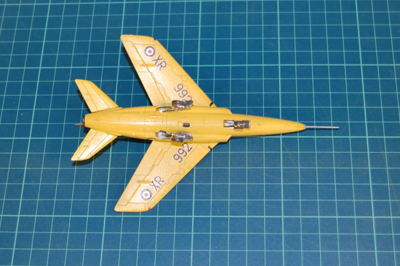gnat_44