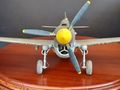 P40E tigri delle Aleutine