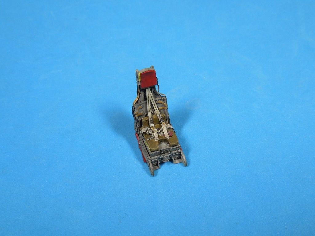 DSCN6202