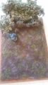 20200822_123331.jpg