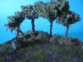 DSC02079.JPG