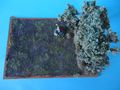 DSC02083.JPG