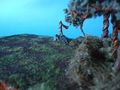 DSC02084.JPG