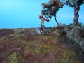 DSC02087.JPG