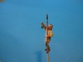 DSC02096.JPG