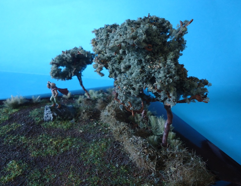 DSC02107.JPG