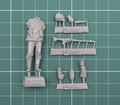 3D6