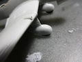 DSC01749