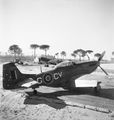 p-51d-3-sqn-raaf-at-cervia-1945-6c646c
