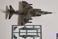 Harrier144_05.png