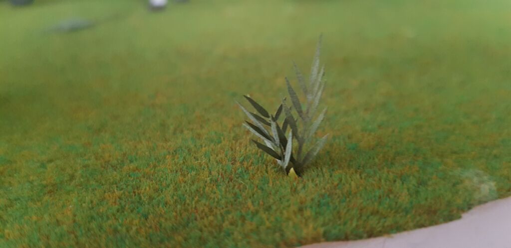 leafs (1)