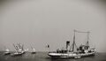 Nave_Cerere_765BN