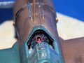 Wirraway (23)