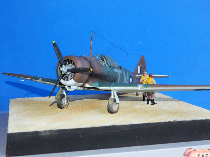 Wirraway (25)