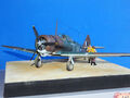 Wirraway (25)
