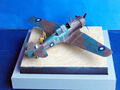 Wirraway (29)