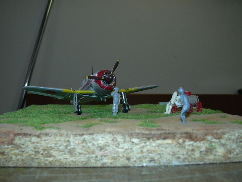 DSCN8226